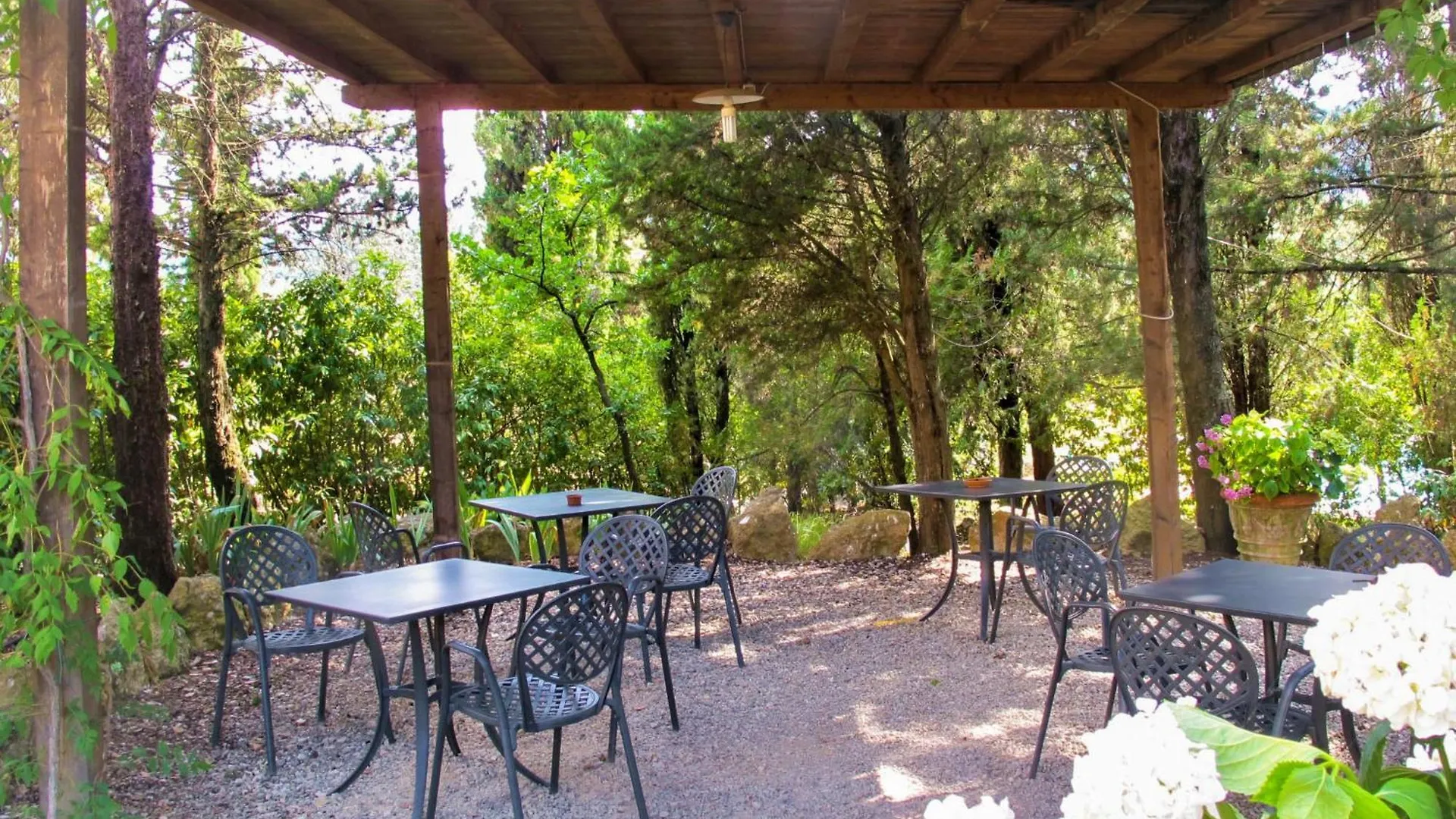 Villa del Monte  Apartment Casa Alle Vacche By Interhome  Villa del Monte (Siena)